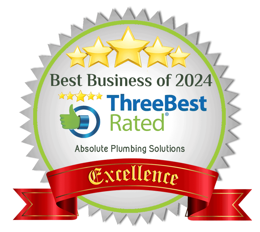 Excellence Award Badge 2024