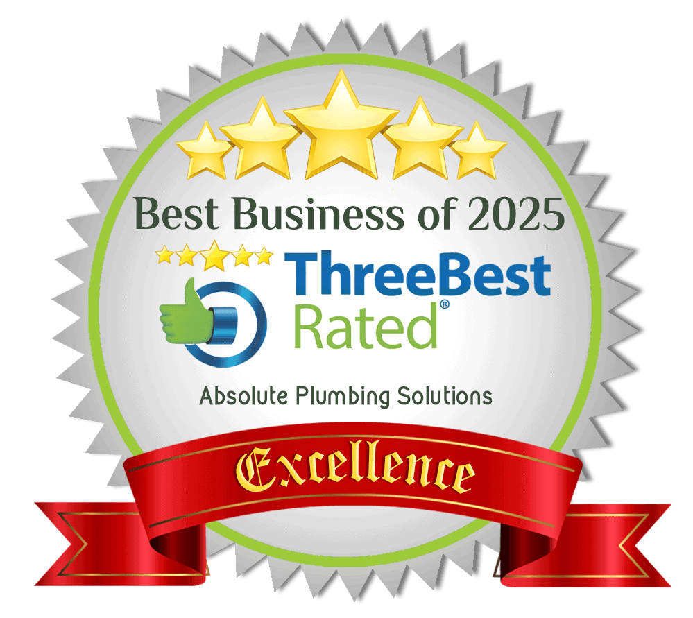 Excellence Award Badge 2025