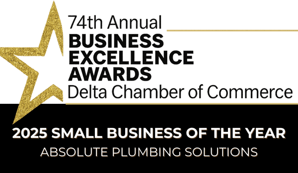 Delta Chamber 2025 Small Business of the Year Award